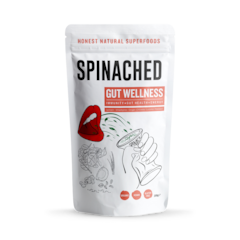 Image 1 for Gut Wellness Superfood Powder 200g